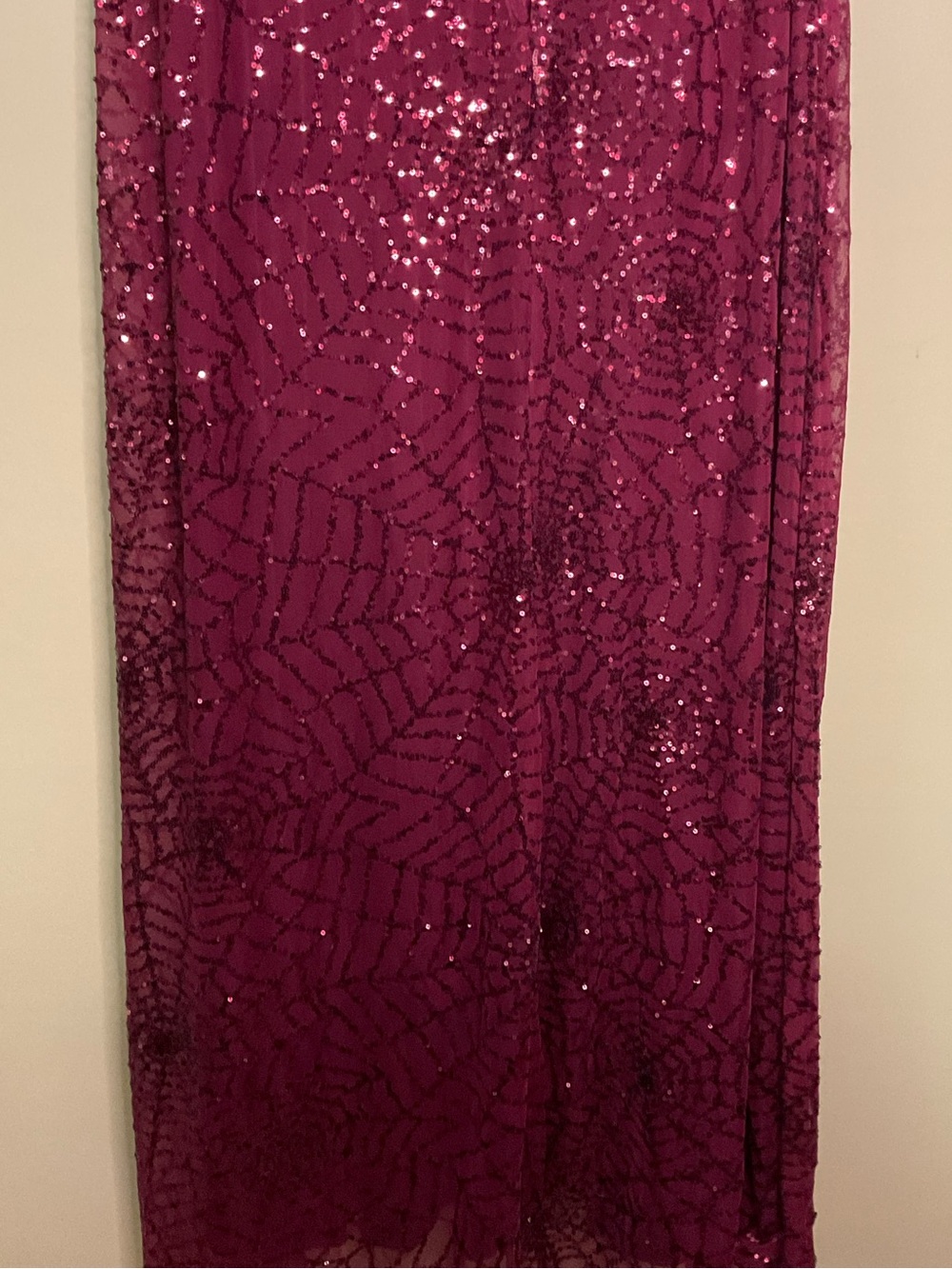 Disney Hocus Pocus Plus Size Burgundy Velvet Costume - Picture 5 of 7